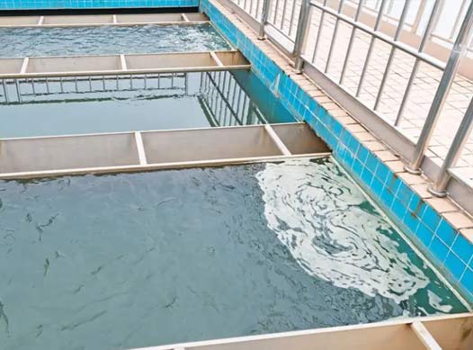 �ɹ�����